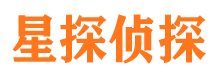 道孚市侦探